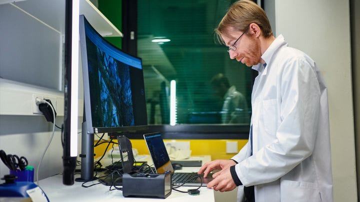 Tutkimus: varpuslinnut menettäneet ”nälkähormonin”