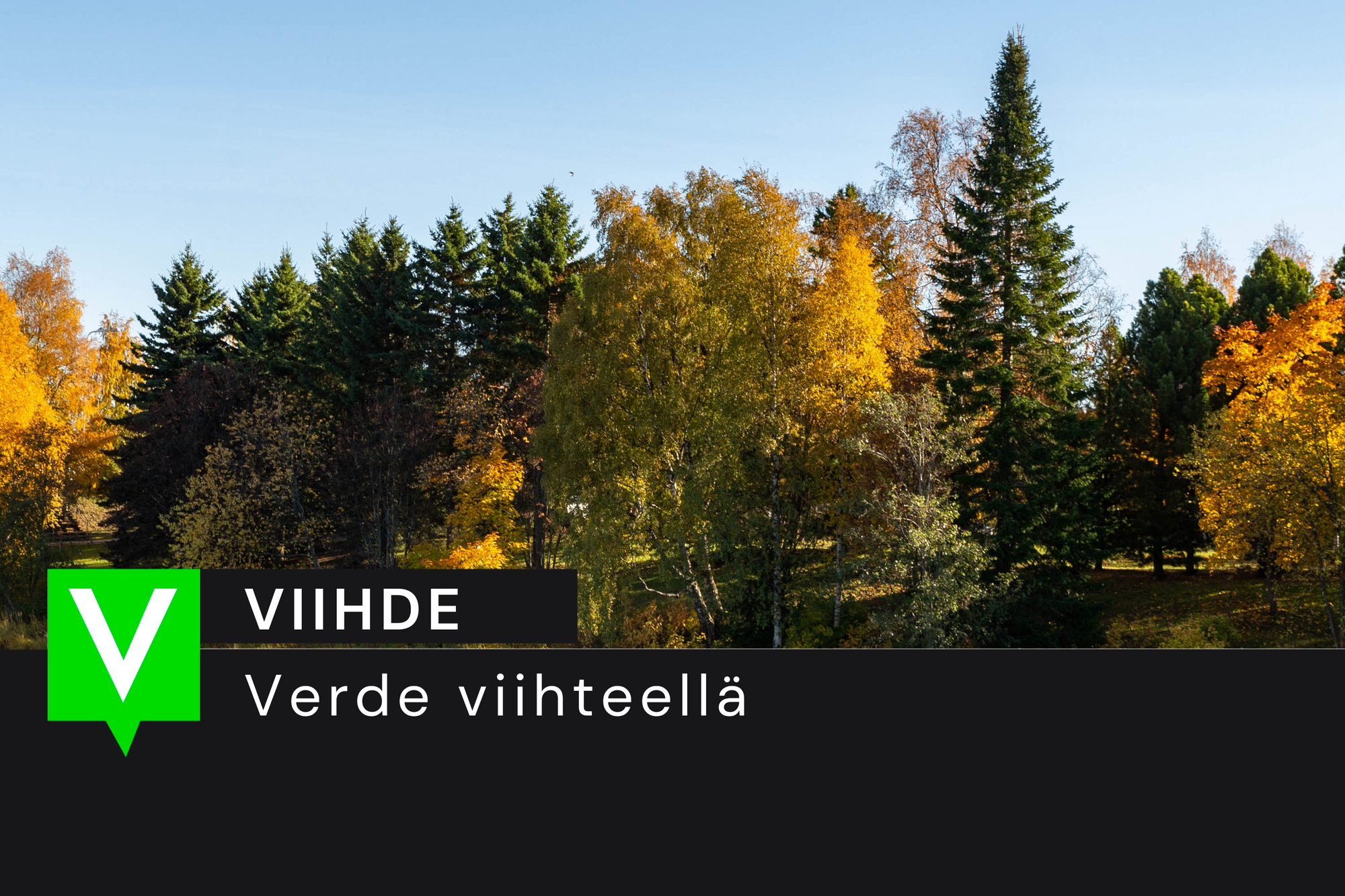 Loppu puunhalaukselle?