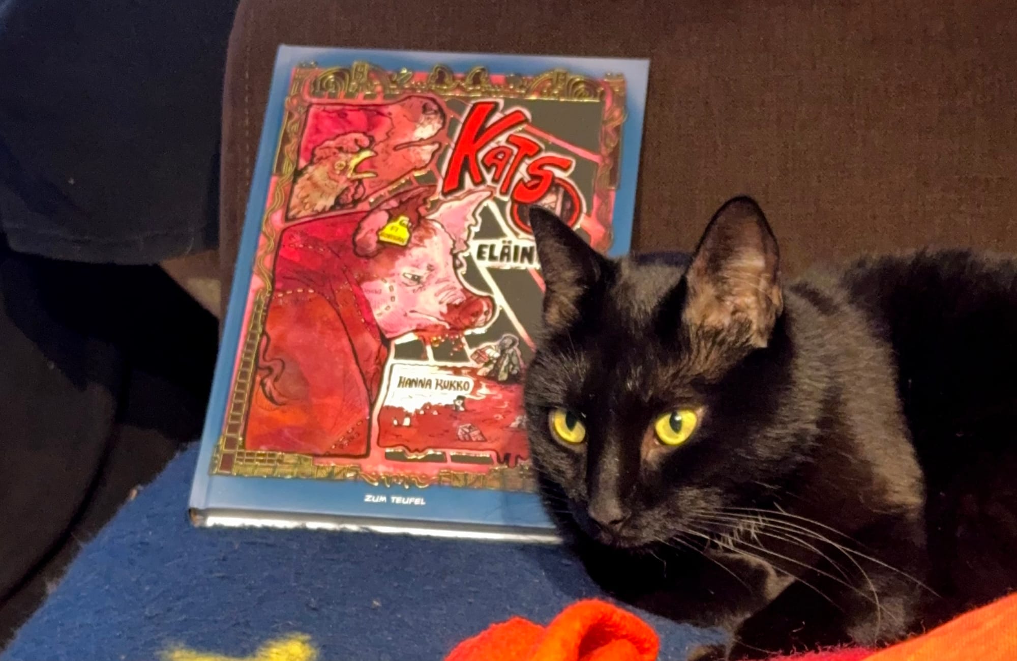 Liha puhuu valintamyymälässä