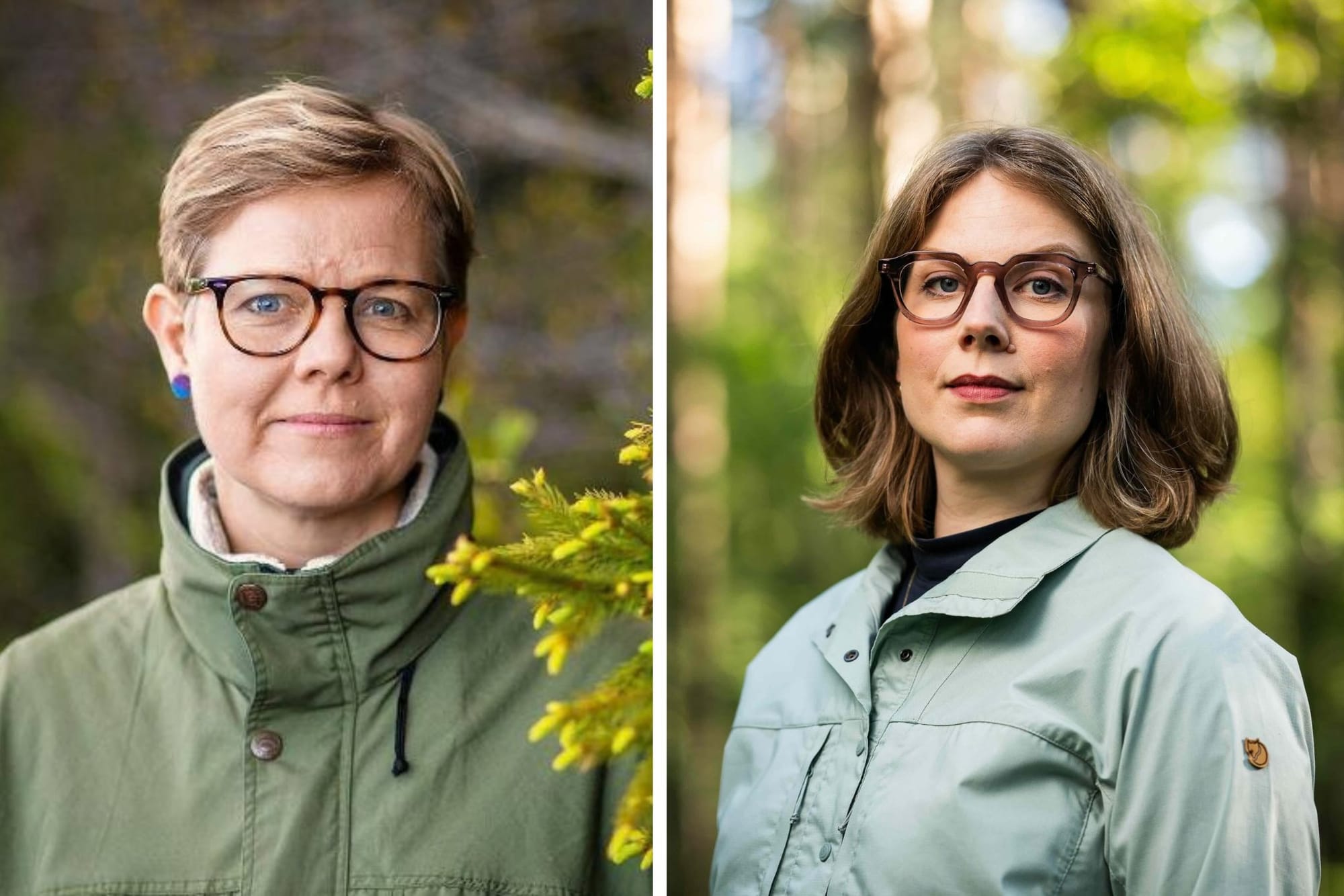 Vihreiden Mikkonen ja Pitko: Suomen tärkein luontopäätös valmistellaan pimennossa