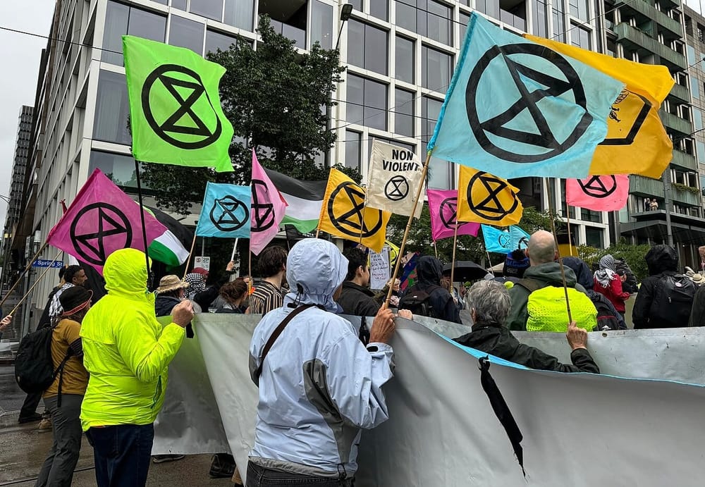 EVA: Vihreistä kolme neljästä antaa Elokapinalle vahvan tukensa post image