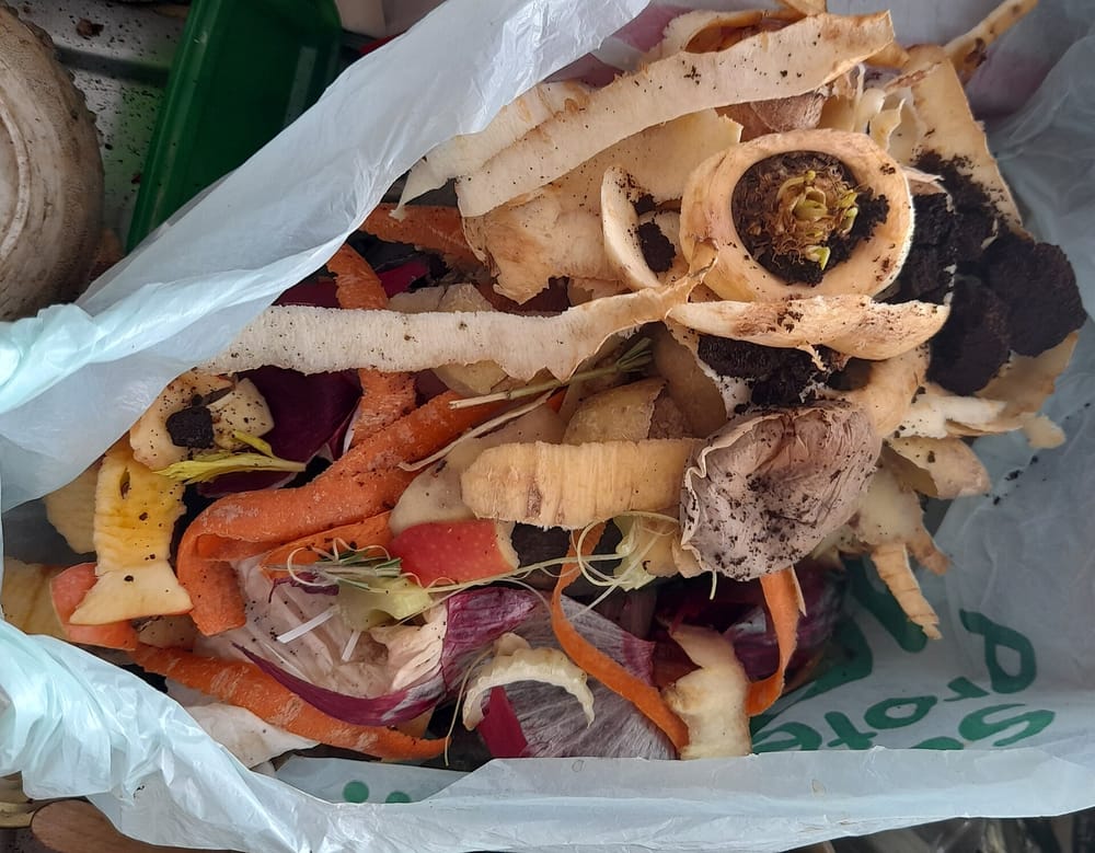 Ruokahävikki voi olla myös tietoinen valinta post image