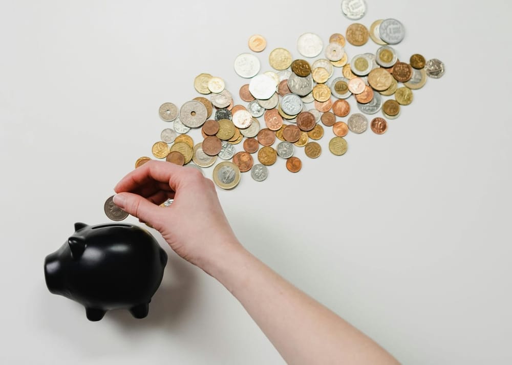 Lähes kolme neljästä suomalaisesta kokee velkajarrun tarpeelliseksi post image