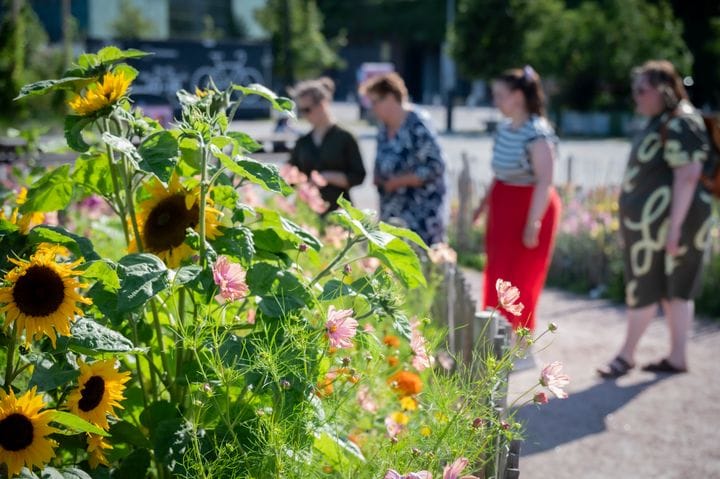 Viivästyneet diagnoosit heikentävät naisten elämänlaatua post image