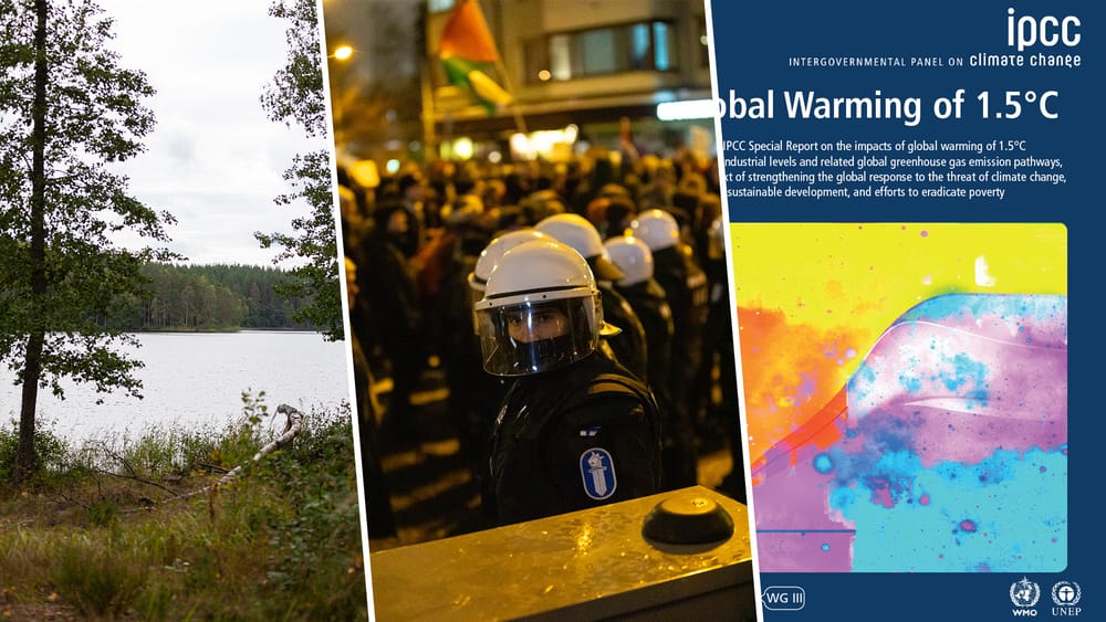 Älä uuvu, aktivisti – jonain päivänä sinua saatetaan tarvita vastarintaan post image