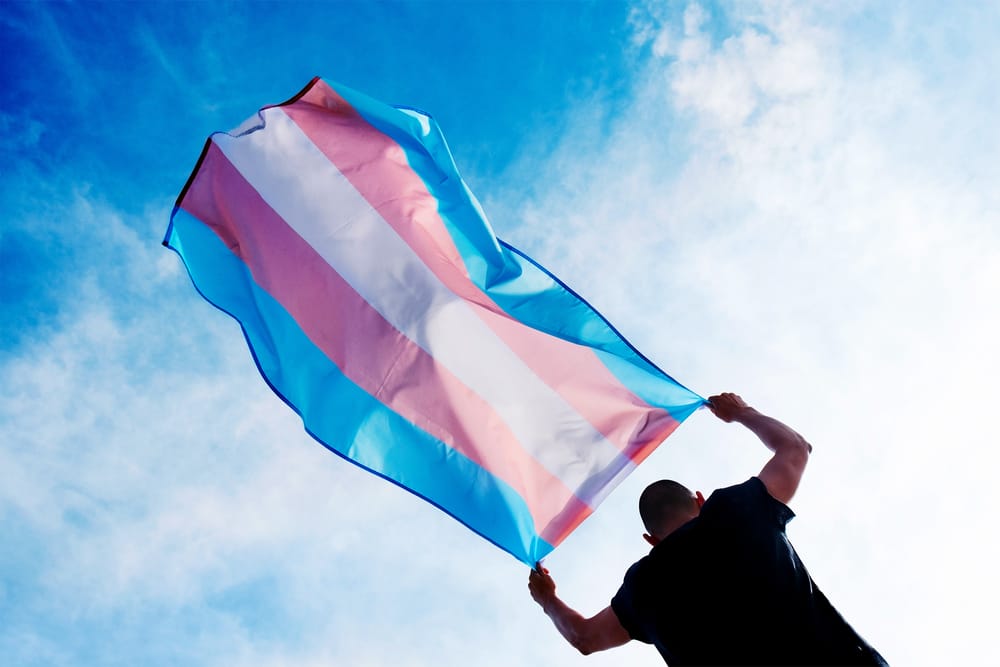 Oikeudenmukaisempaa translakia vaativa kansalaisaloite sai lentävän lähdön post image