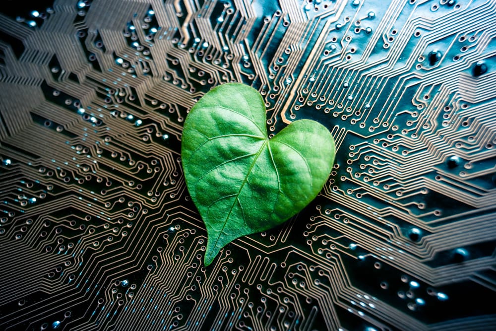 Digitalisaatio edistää oikeudenmukaista ja ekologisesti kestävää yhteiskuntaa post image
