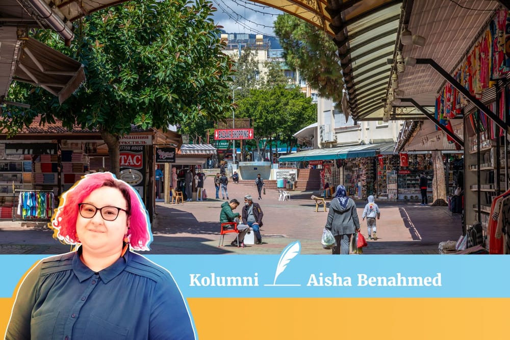 Kahden maan turvaverkko voi pandemiassa huojua post image
