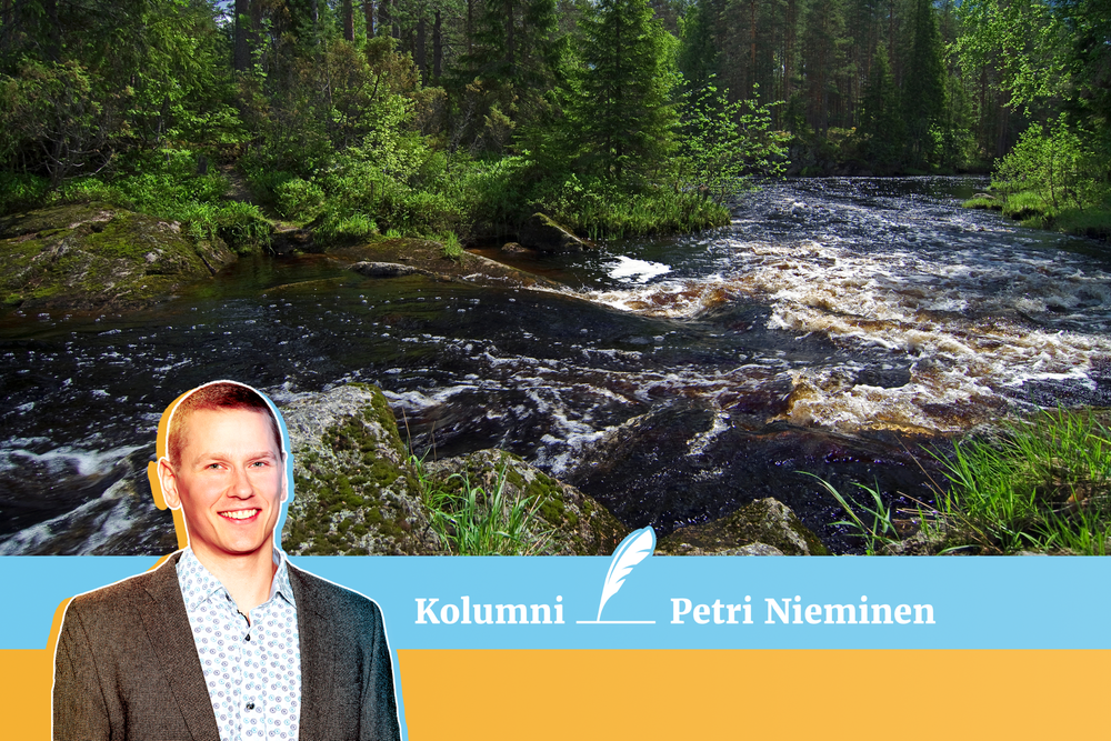 Luontokadon pysäyttämiseksi tarvitaan vaikuttavia tekoja niin metsien kuin vesienkin osalta post image