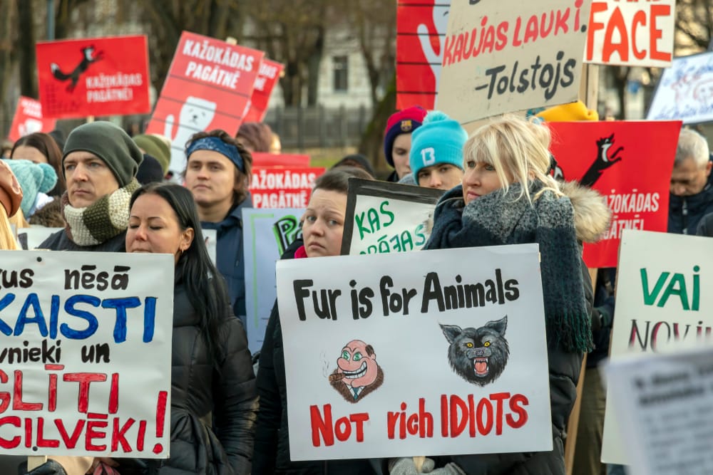 Turkistarhaus – miljoonabisnestä veronmaksajien rahoilla? post image