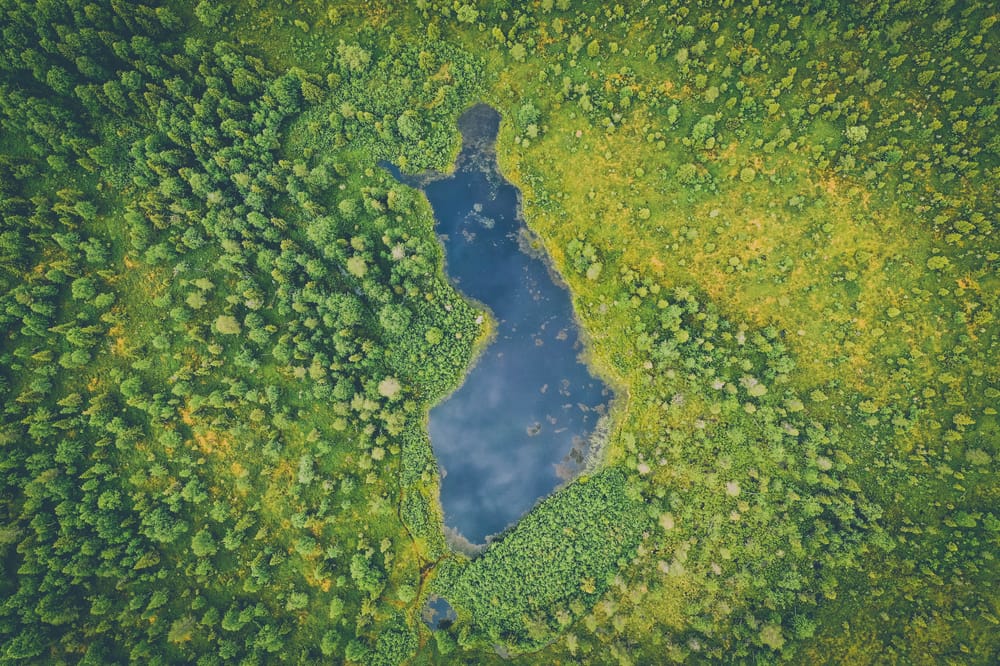 Nieluja ja teknistä hiilensidontaa - Ovatko 2035 ilmastotavoitteet karkaamassa Orpon hallituksen käsistä? post image