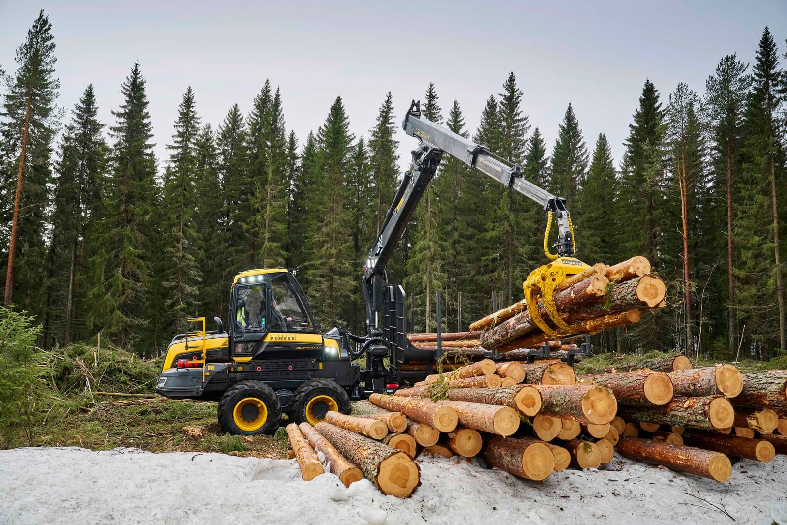 Why wood use conflicts with climate targets post image