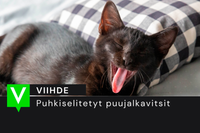 Puhkiselitetyt puujalkavitsit: naapurisopu koetuksella post image