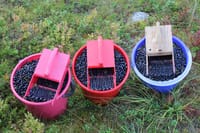 Keskuskauppakamari: Ulkomaisen työvoiman hyväksikäyttöön puututtava – vääristää kilpailua post image