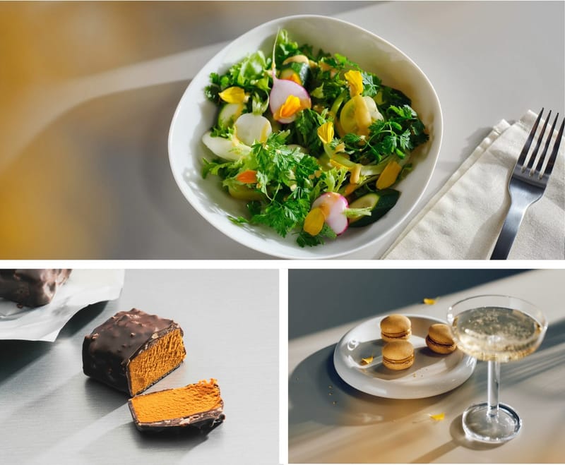 Solar Foods valmiina skaalaamaan Soleinin tuotannon satakertaisesti post image
