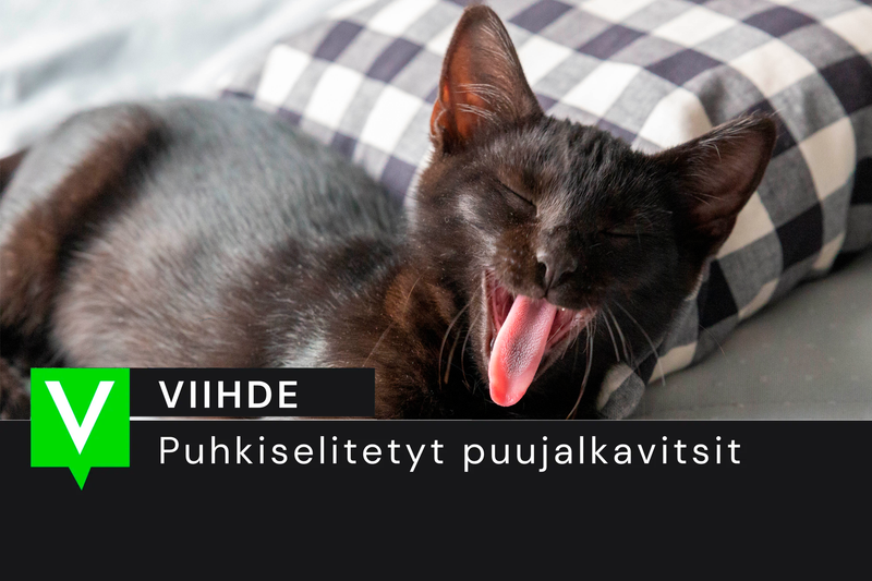 Puhkiselitetyt puujalkavitsit: naapurisopu koetuksella post image