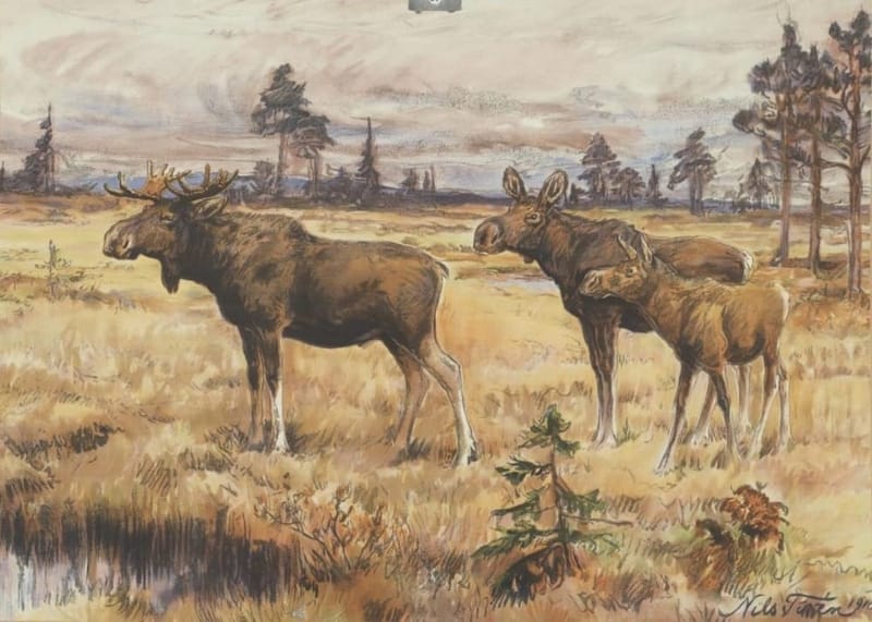 Historiallinen aineisto auttaa luonnon monimuotoisuuden ymmärtämisessä post image