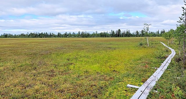 Kyselytutkimus: Suomalaisten enemmistö ei hyväksy kaivosta suojellulle Viiankiaavalle post image