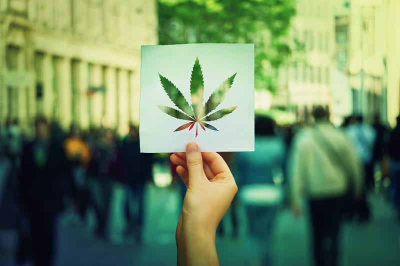 Kolumnisti Brigita Krasniqi: Kannabiksen laillistaminen on vastuullista politiikkaa. post image