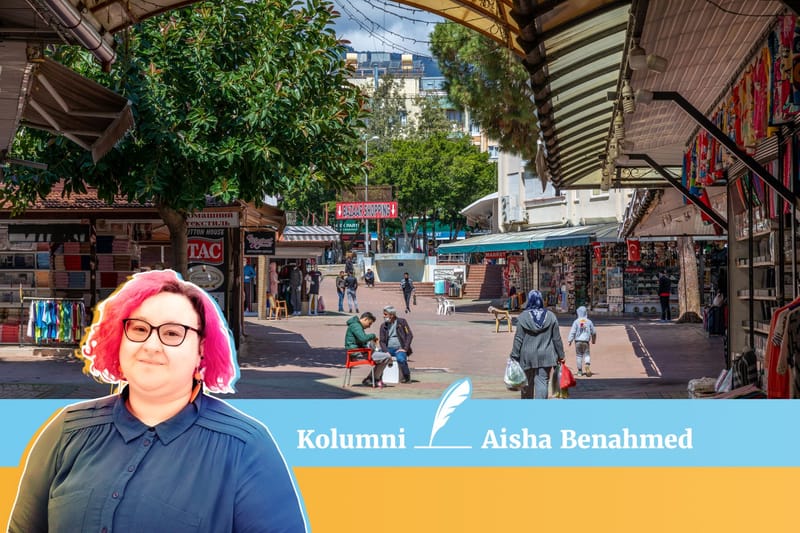 Kahden maan turvaverkko voi pandemiassa huojua post image