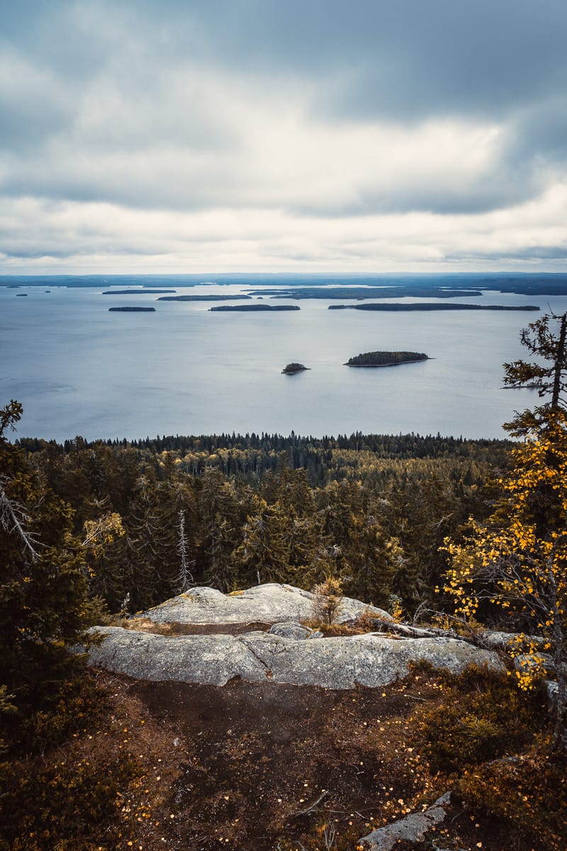 Kaivoslain uudistus ei turvaa luonnon monimuotoisuutta.