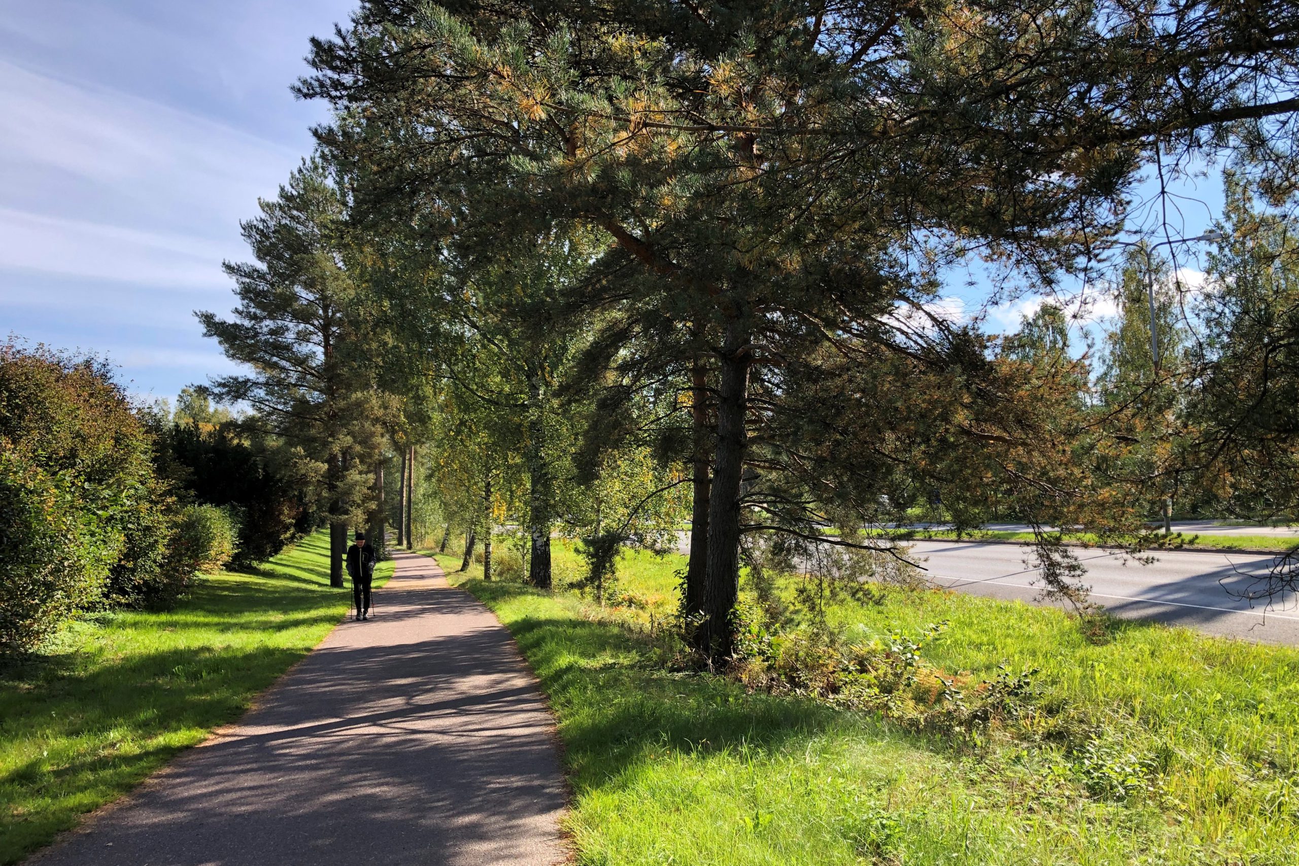 Ilmastonmuutokseen sopeutumiseksi tarvitaan vähemmän asfalttia ja enemmän vihreää