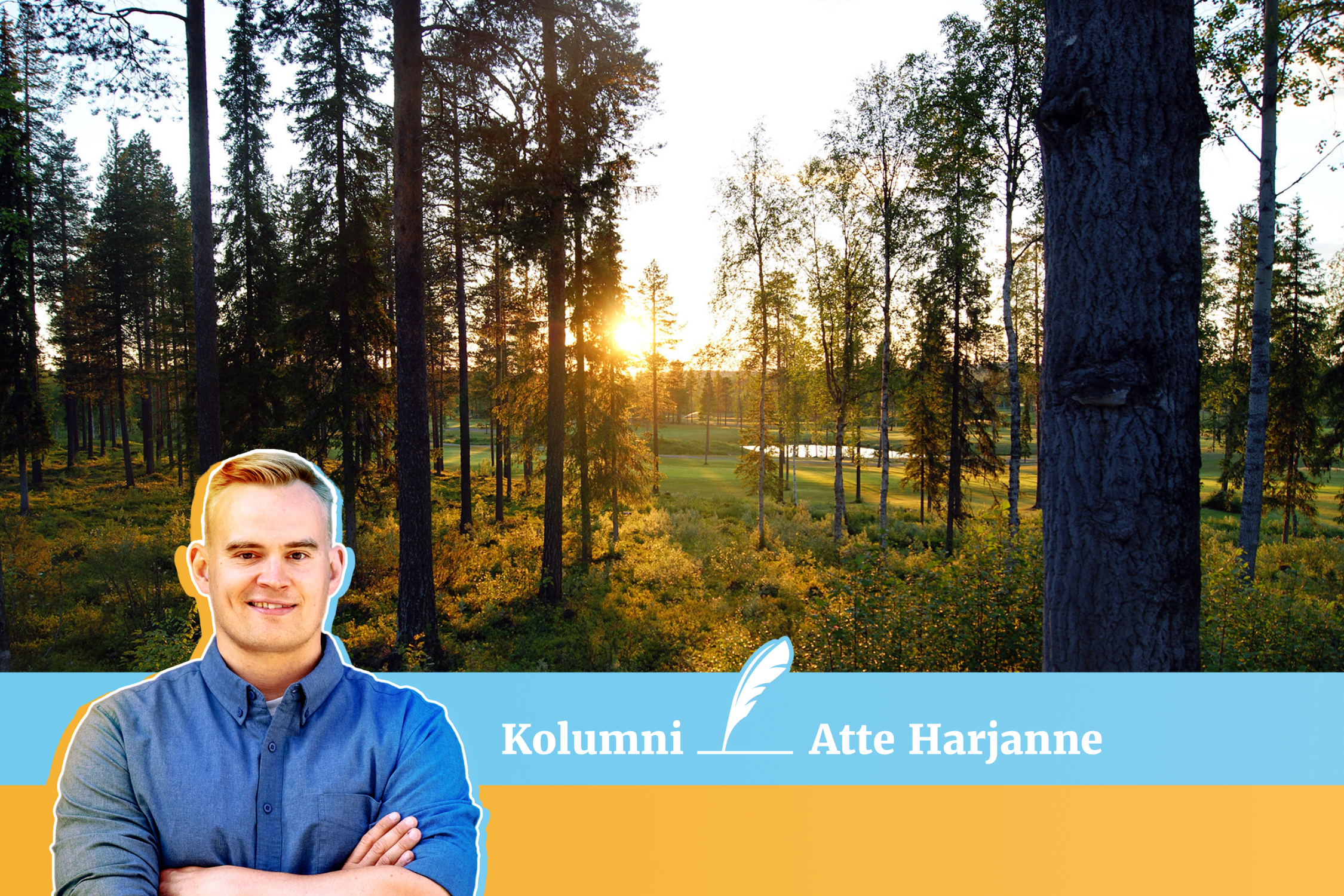 Markkinat hiilelle ja luonnolle auttaisivat pelastamaan Suomen metsät