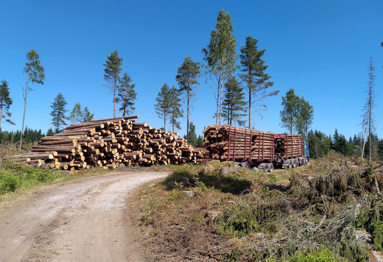 Petteri Taalas jatkaa rauhoittelua ja vetoaa Nasan itsensä kumoamiin tutkimustuloksiin