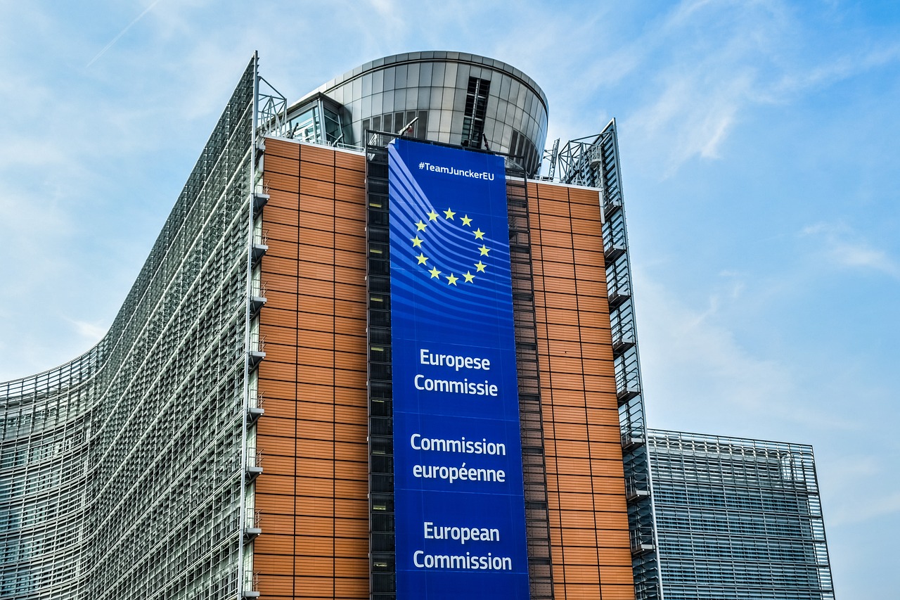 Euroopan parlamentti haastaa Euroopan komission oikeuteen -Hautala: parlamentin tehtävä on valvoa komissiota